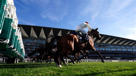 gg com top horse tips today|Today's Horse Racing Tips including Nap of the day .